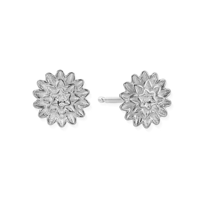 ChloBo silver botanical beauty stud earrings