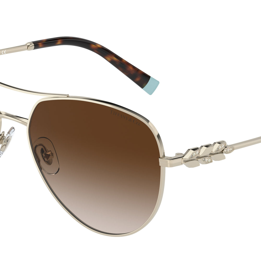 Tiffany & Co. Sunglasses TF3083