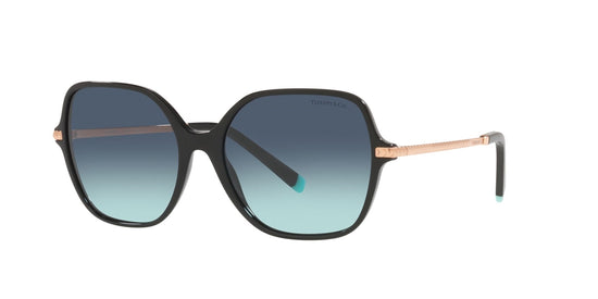 Tiffany & Co. Women's Black Sunglasses