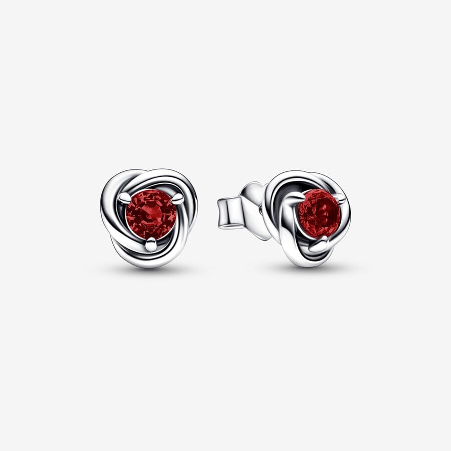 
                      
                        Pandora January Birthstone Eternity Circle Stud Earrings
                      
                    