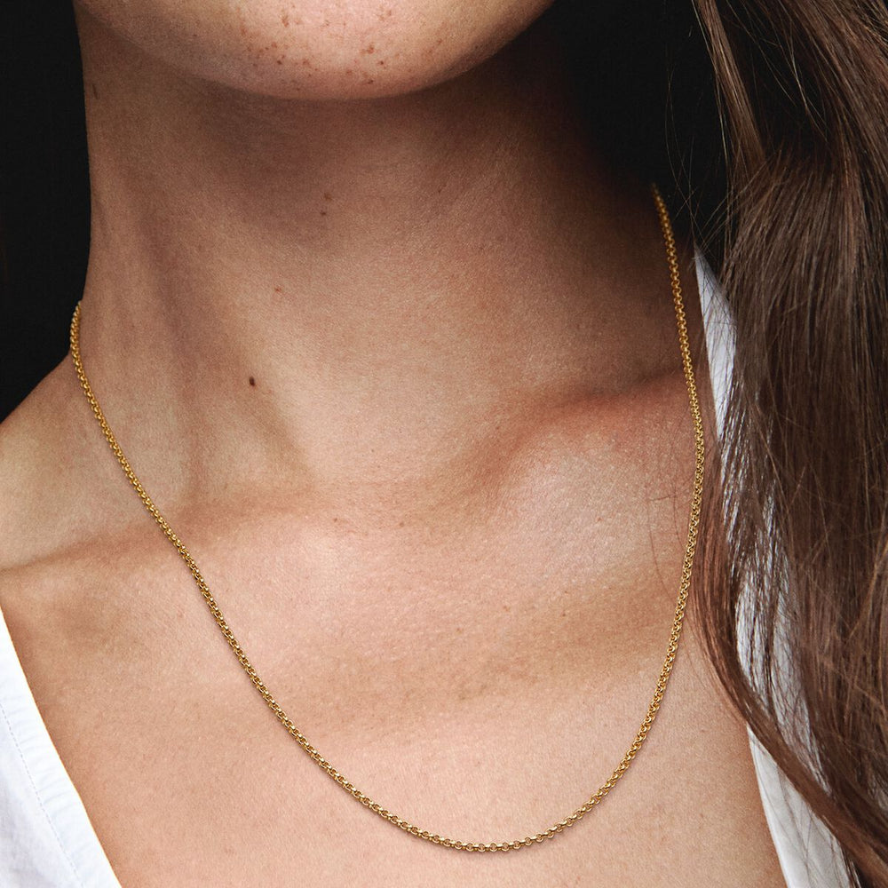 
                      
                        Pandora Rolo Chain Necklace
                      
                    