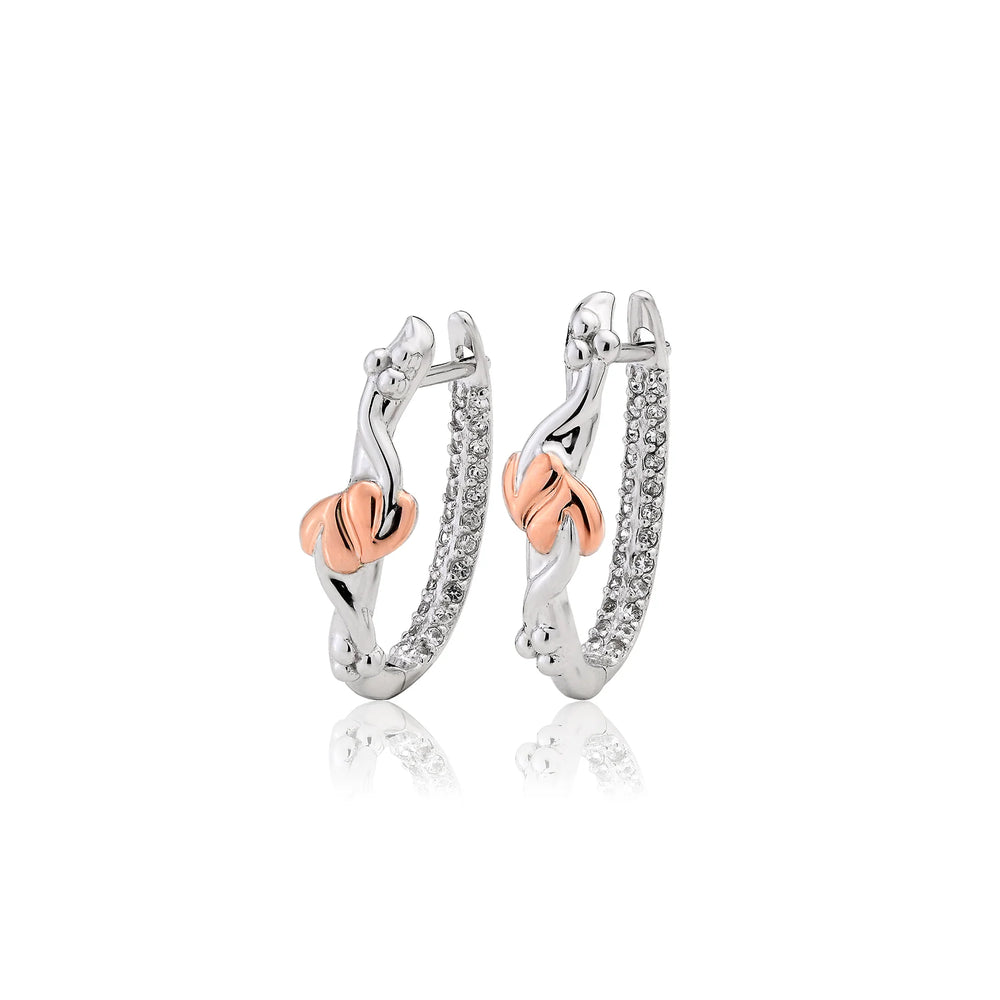 Clogau Tree of Life Earrings