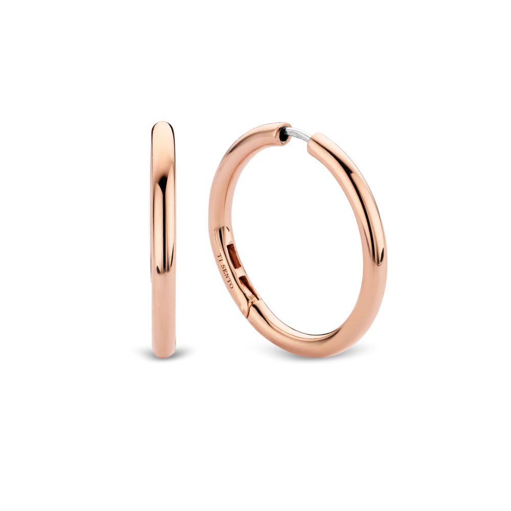 
                      
                        TI SENTO - Milano Earrings 7782SR
                      
                    