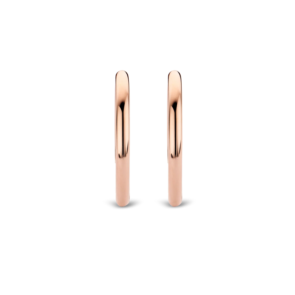 
                      
                        TI SENTO - Milano Earrings 7782SR
                      
                    