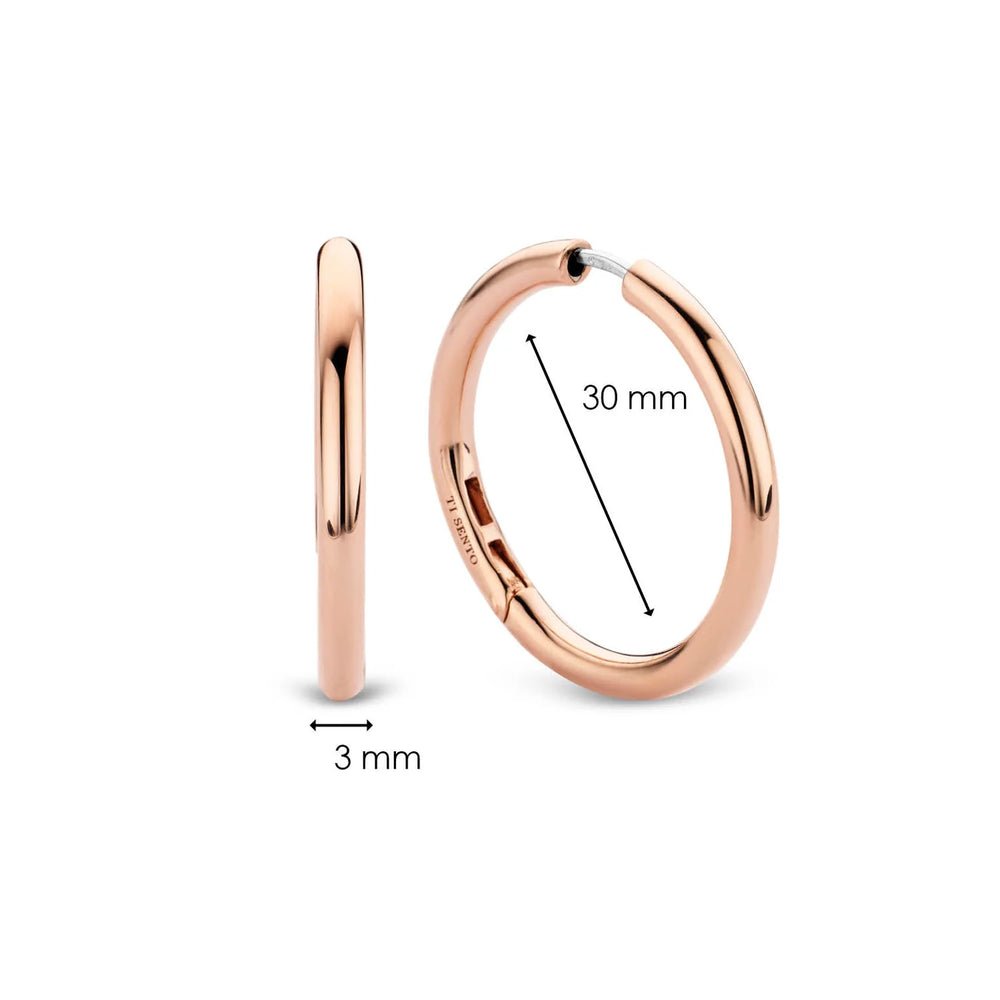 
                      
                        TI SENTO - Milano Earrings 7782SR
                      
                    