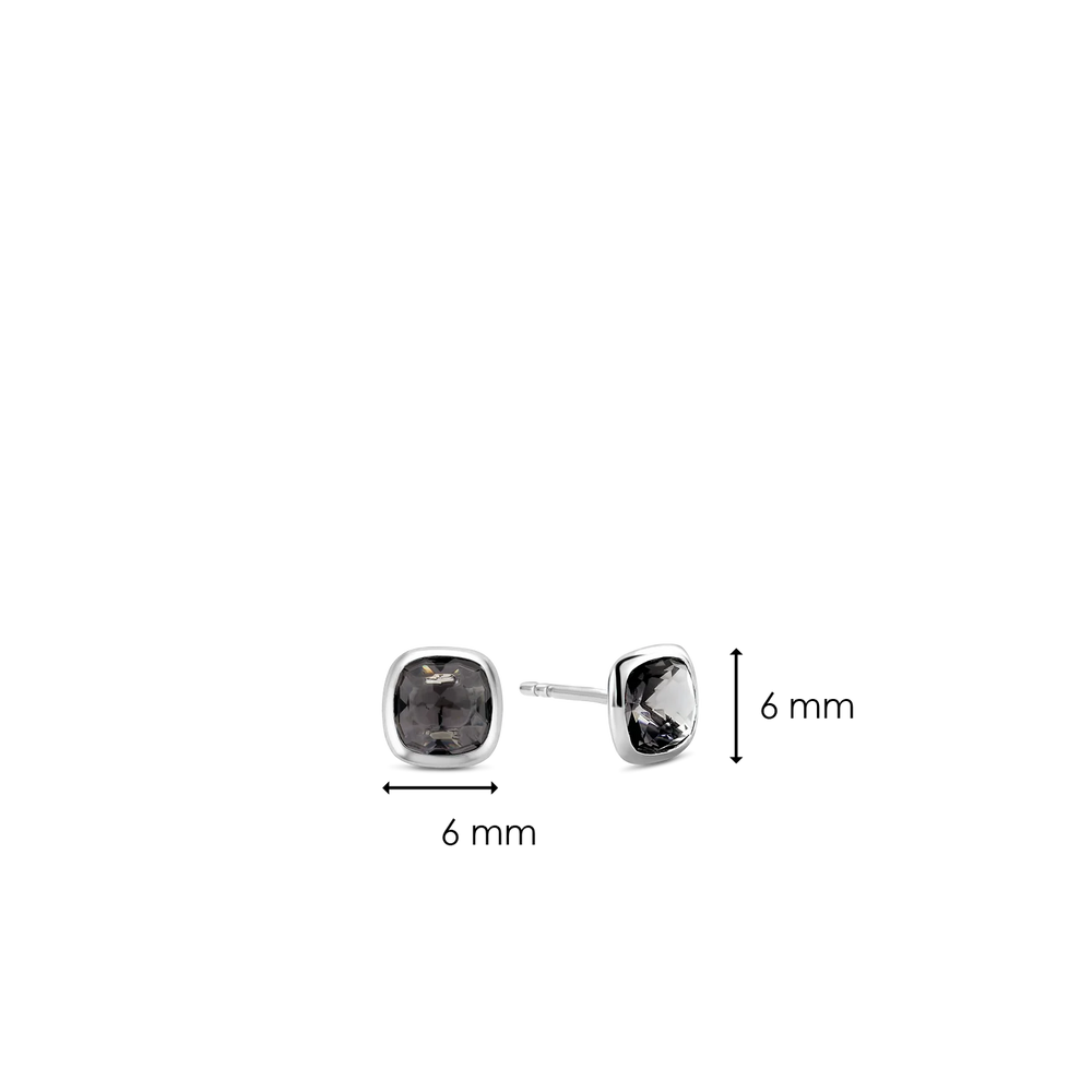 
                      
                        TI SENTO - Milano Earrings 7808GB
                      
                    
