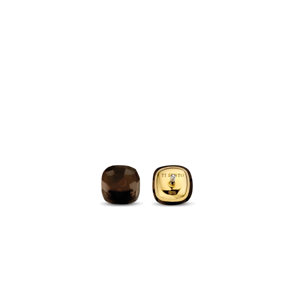 
                      
                        TI SENTO - Milano Earrings 7814TB
                      
                    