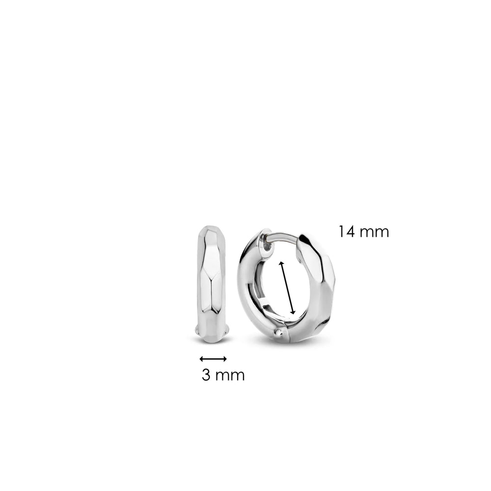 
                      
                        TI SENTO - Milano Earrings 7839SI
                      
                    