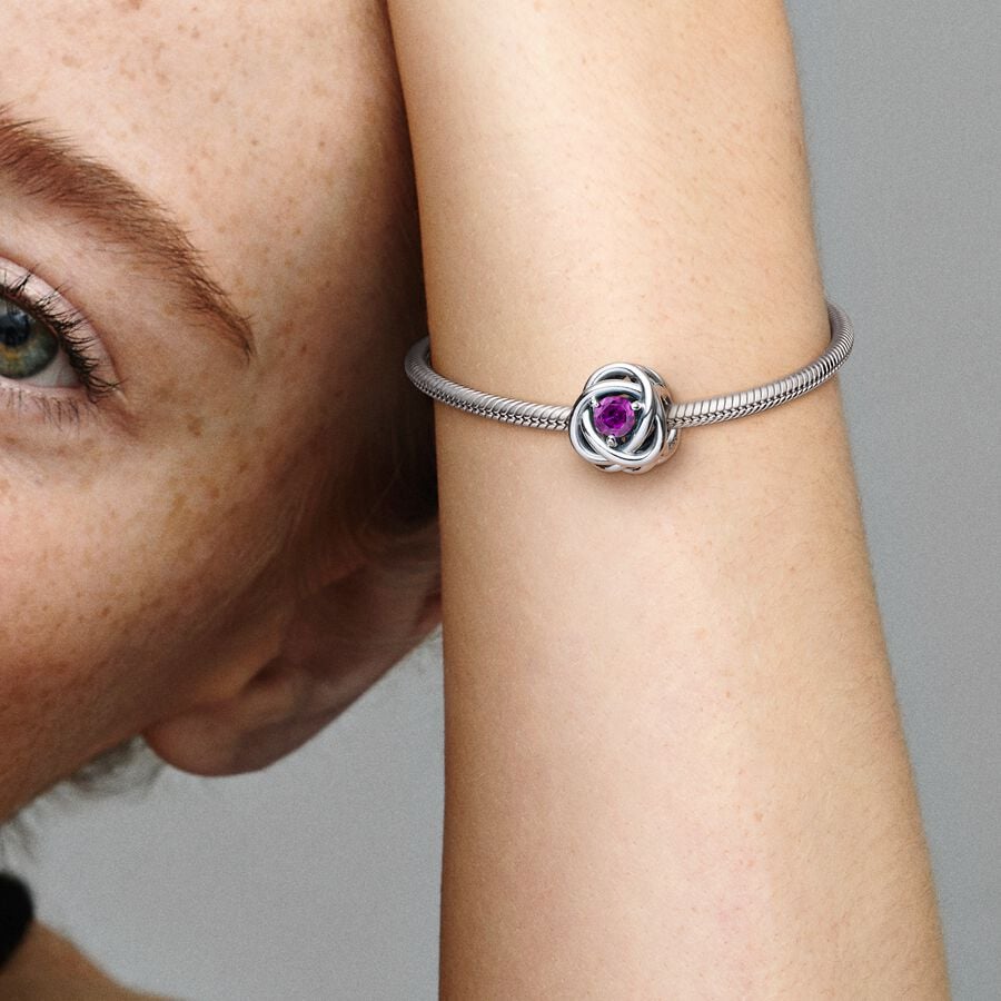 
                      
                        Pandora February Birthstone Eternity Circle Charm
                      
                    