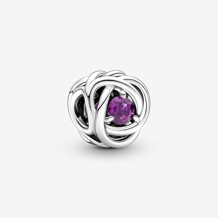 Pandora February Birthstone Eternity Circle Charm