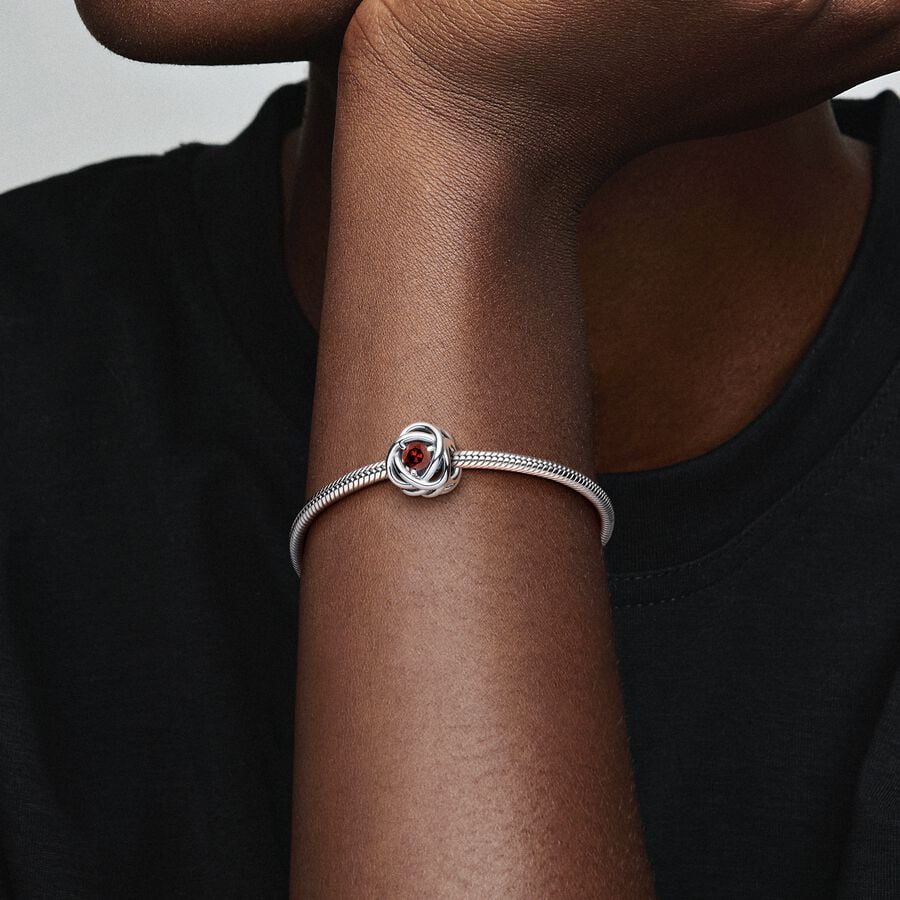 
                      
                        Pandora January Birthstone Eternity Circle Charm
                      
                    