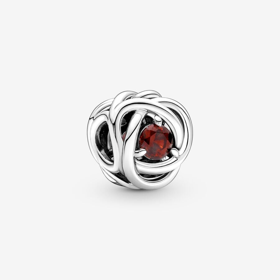 
                      
                        Pandora January Birthstone Eternity Circle Charm
                      
                    