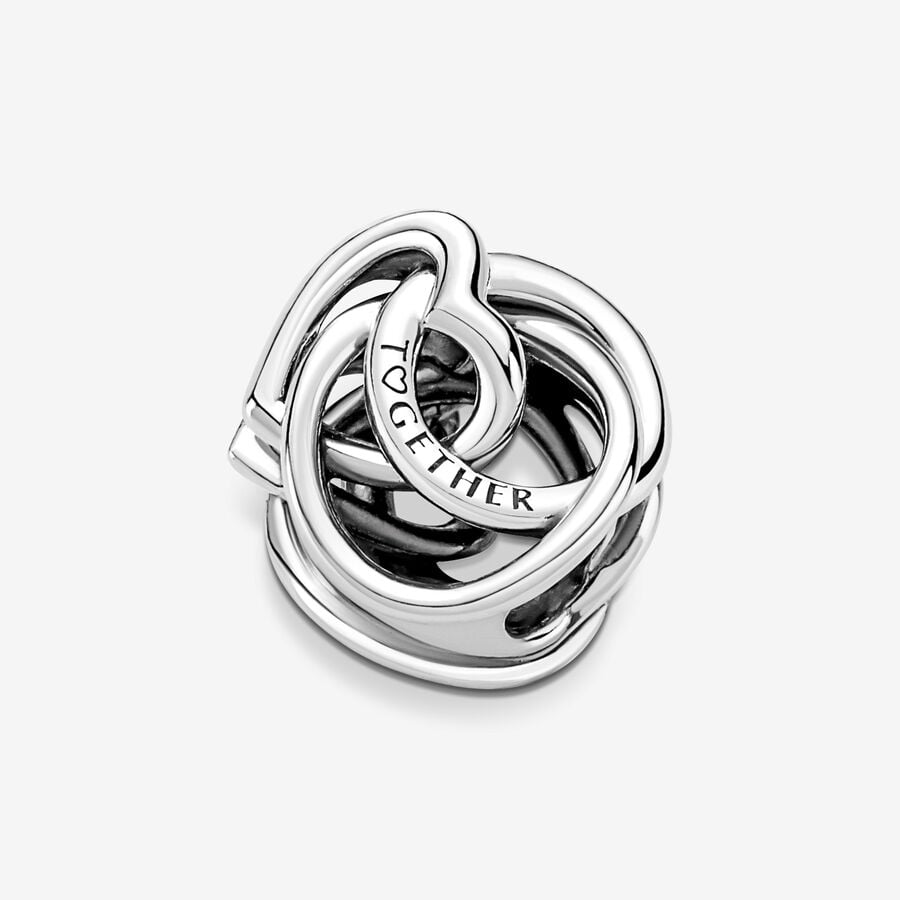 
                      
                        Pandora Family Always Encircled Heart Charm
                      
                    