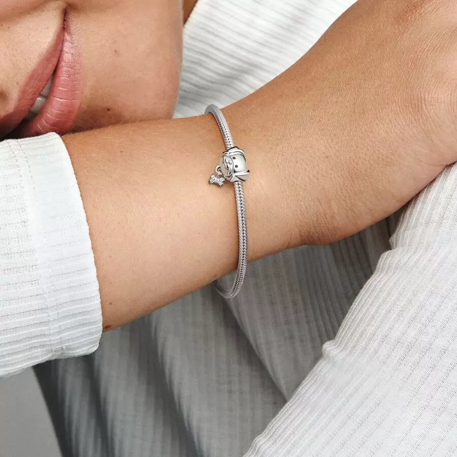 
                      
                        Pandora Pet Dog & Bone Charm
                      
                    