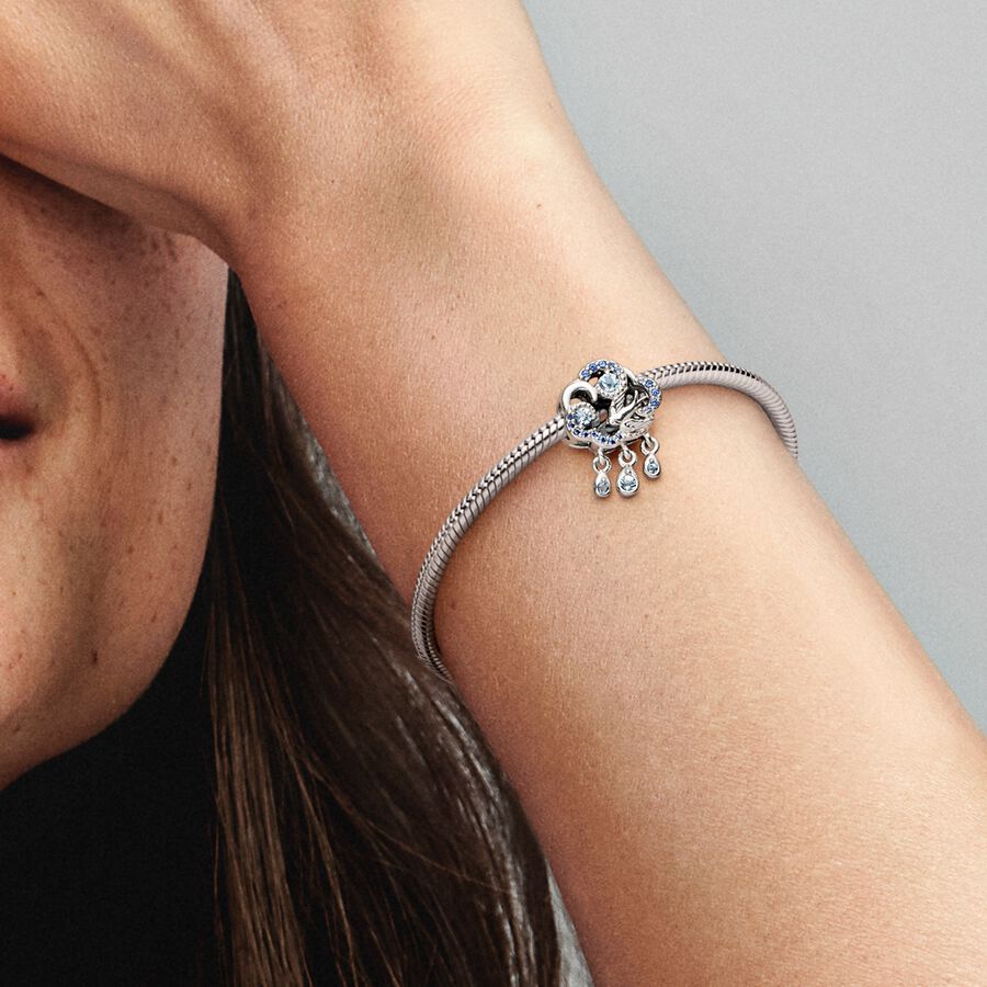 
                      
                        Pandora Cloud & Swallow Charm
                      
                    