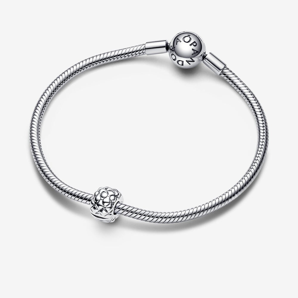 
                      
                        Pandora Studded Clip Charm
                      
                    