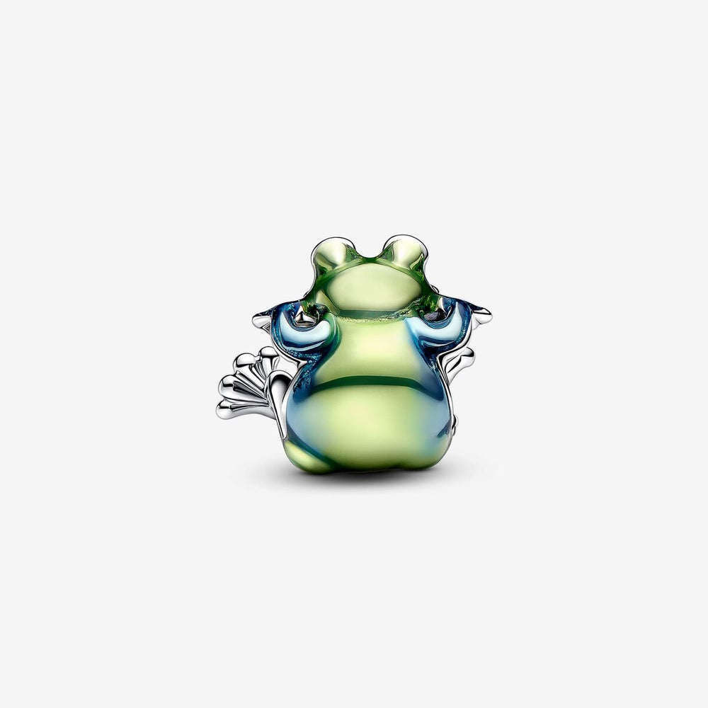 
                      
                        Pandora Climbing Frog Charm
                      
                    