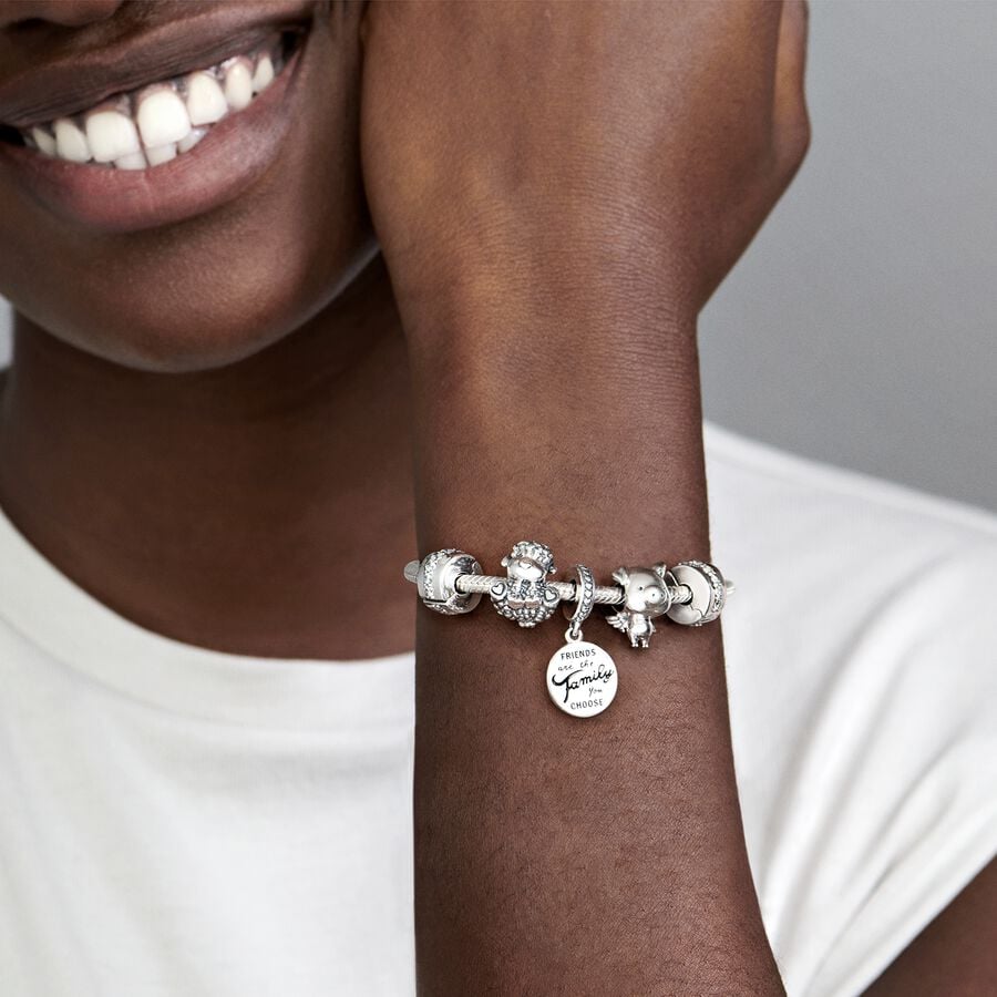 
                      
                        Pandora Friends Are Family Dangle Charm
                      
                    