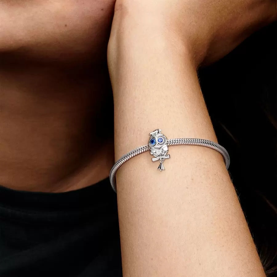 
                      
                        Pandora Wise Owl Graduation Charm
                      
                    