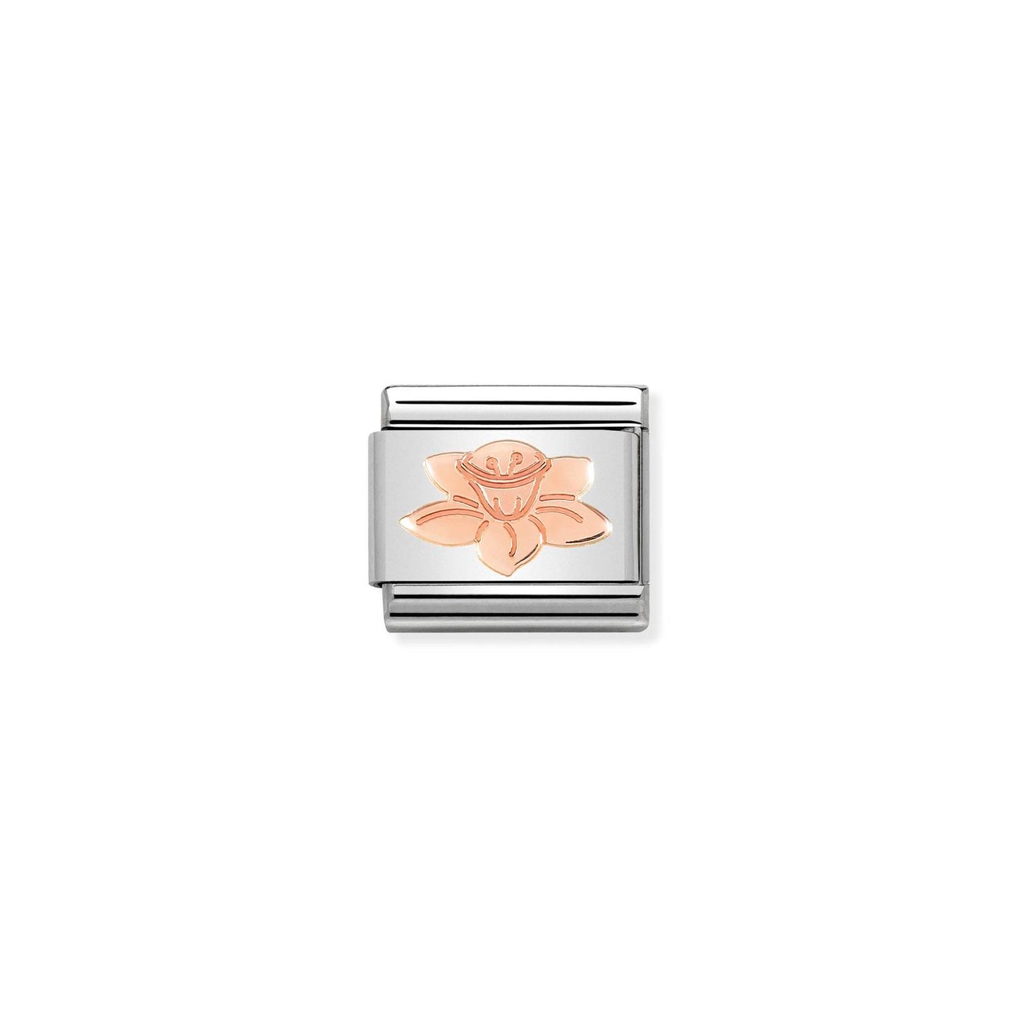 Nomination Classic Link Daffodil