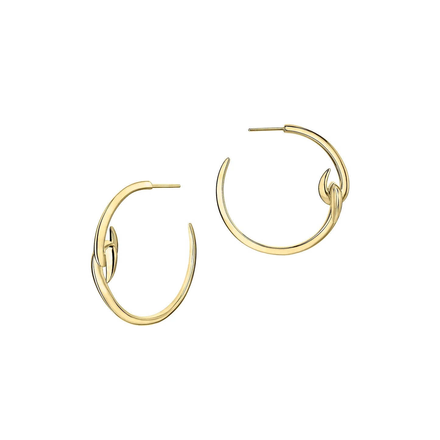 Shaun Leane Hook Hoop Earrings - Yellow Gold Vermeil
