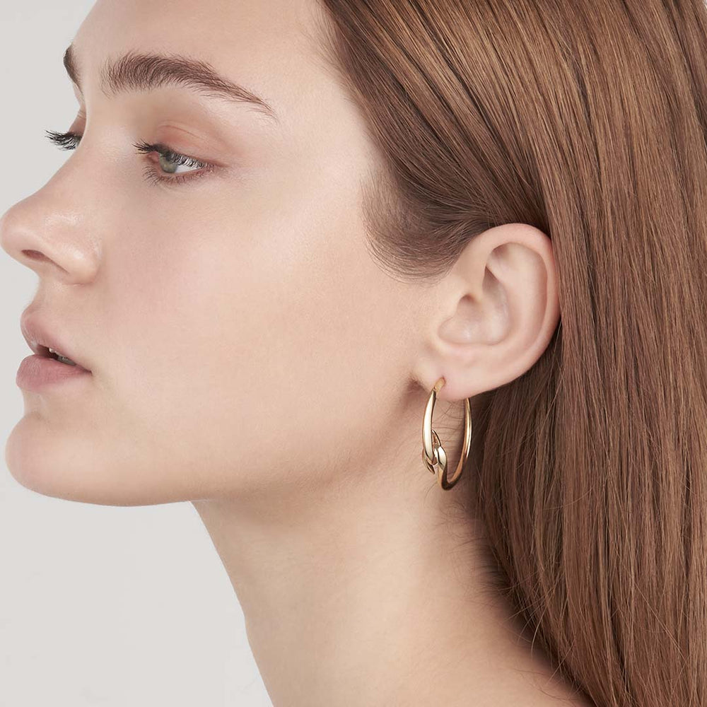 
                      
                        Shaun Leane Hook Hoop Earrings - Yellow Gold Vermeil
                      
                    