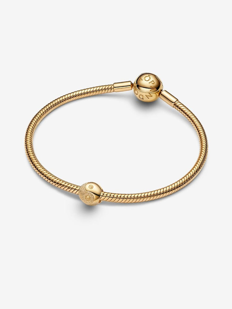 
                      
                        Pandora Textured Yin and Yang Mini Charm
                      
                    