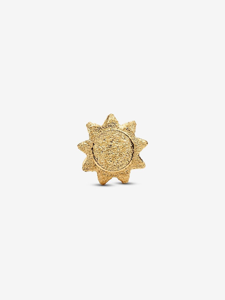 
                      
                        Pandora Textured Sun Mini Charm
                      
                    