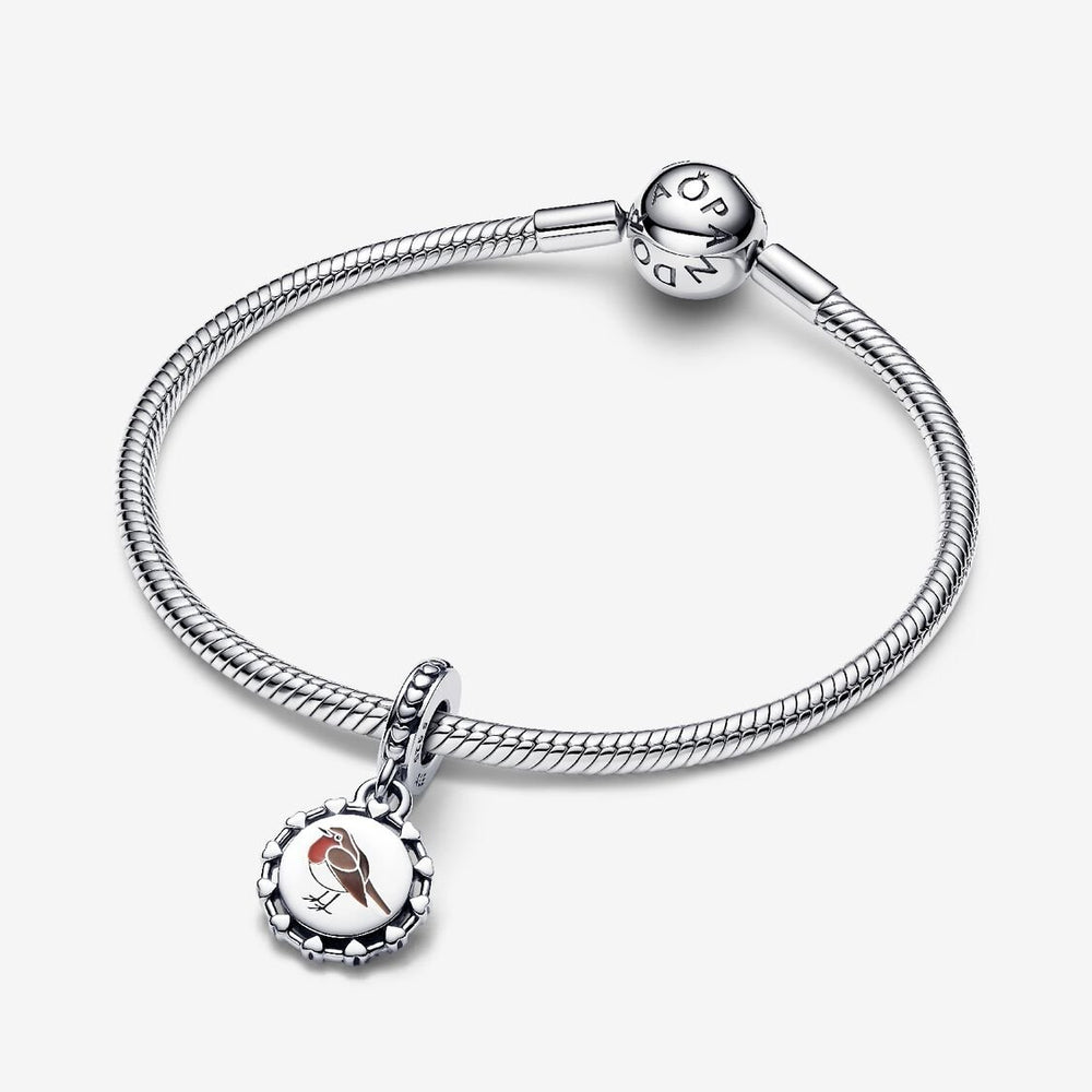 
                      
                        Pandora Engravable Robin Bird Dangle Charm
                      
                    