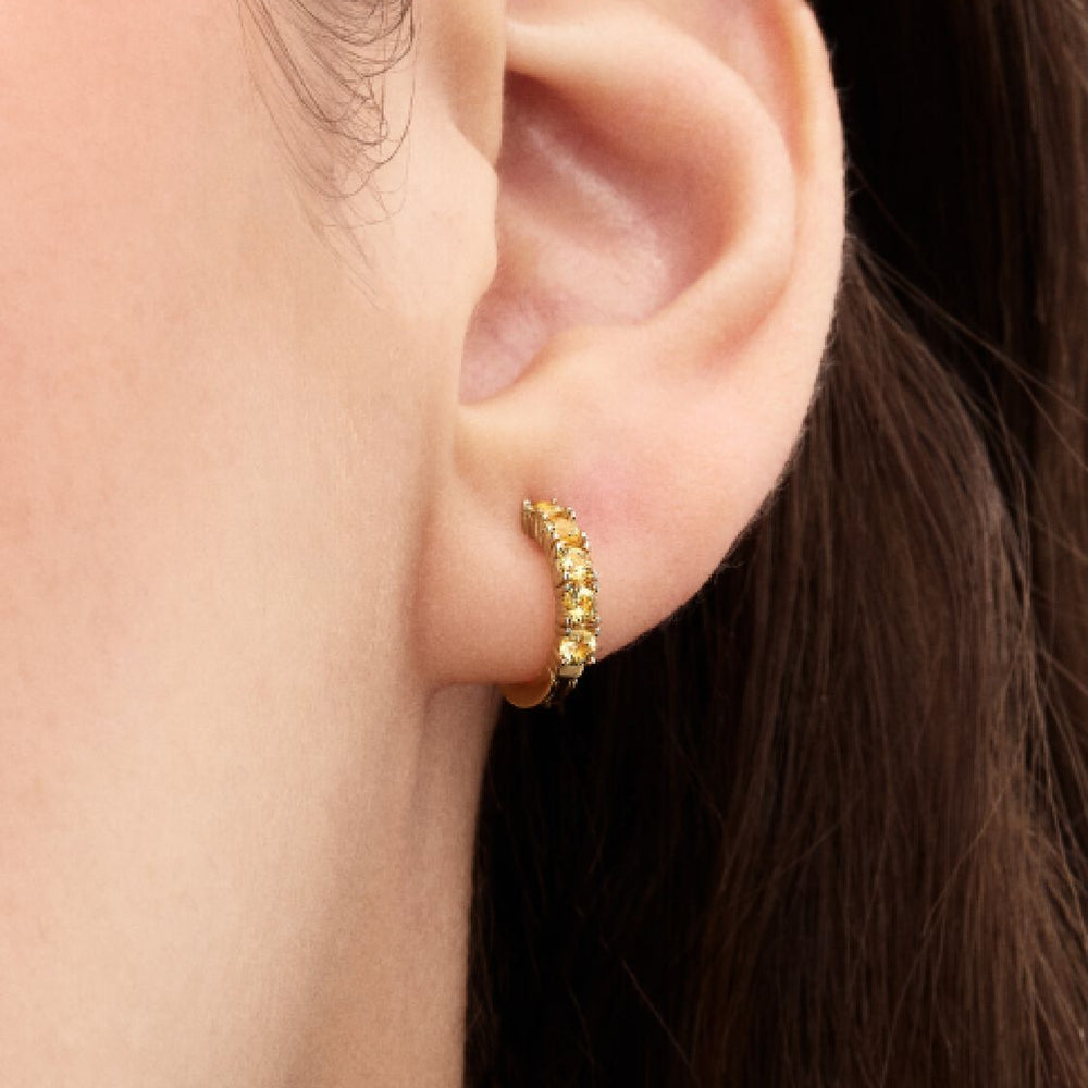 
                      
                        Pandora Yellow Huggie Earrings
                      
                    