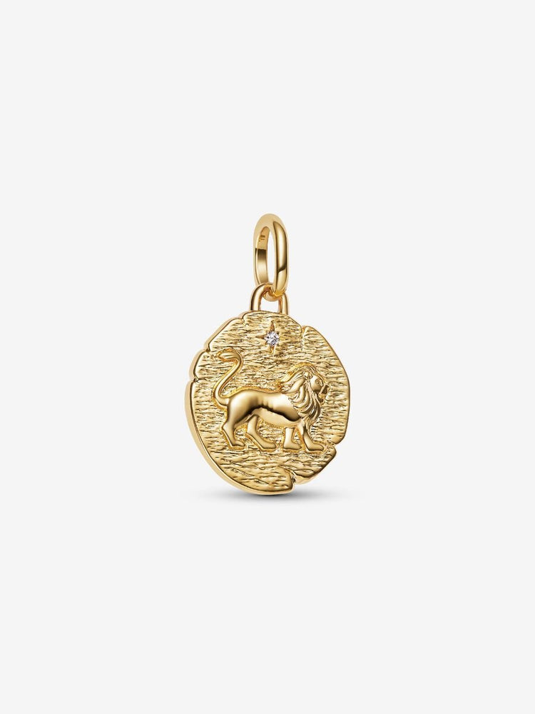 Pandora Lion Medallion Charm