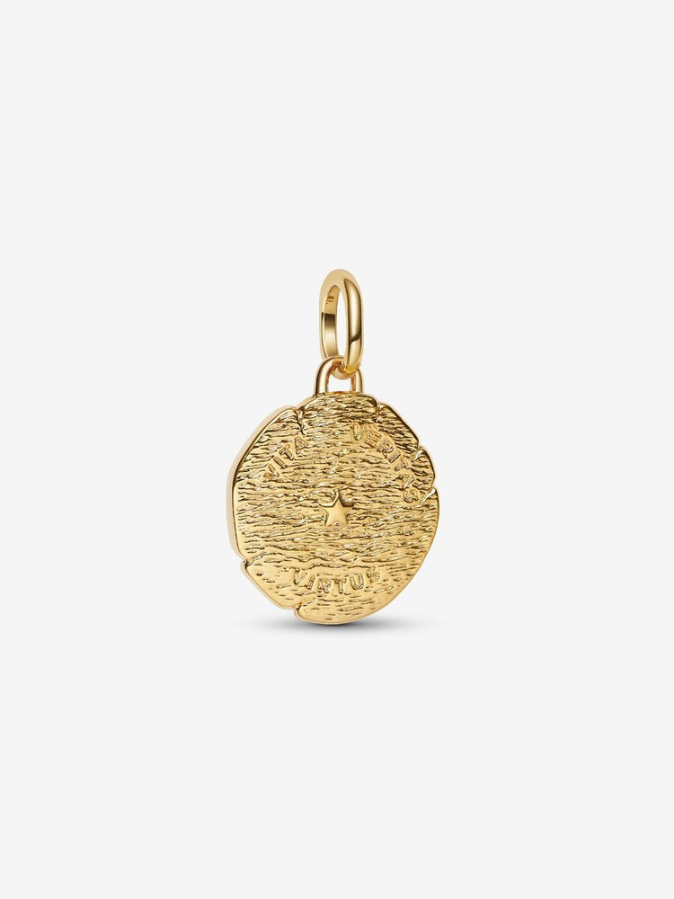 
                      
                        Pandora Lion Medallion Charm
                      
                    