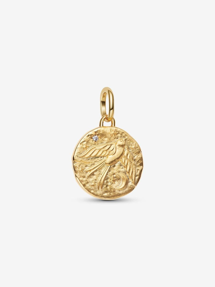 Pandora Swallow Medallion Charm