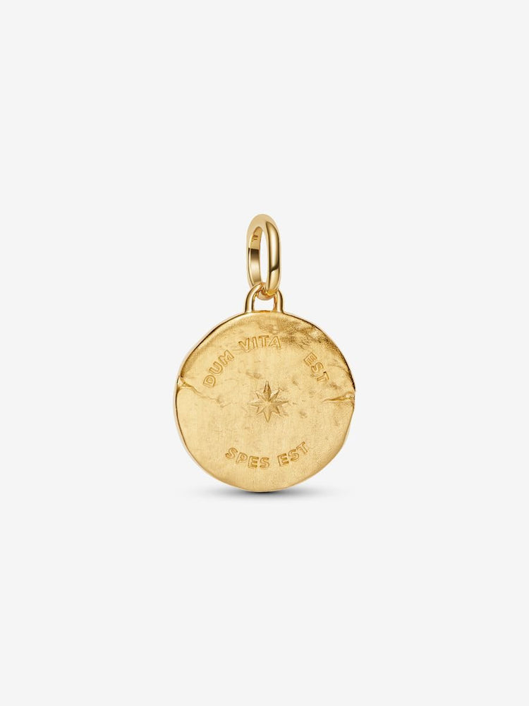 
                      
                        Pandora Swallow Medallion Charm
                      
                    