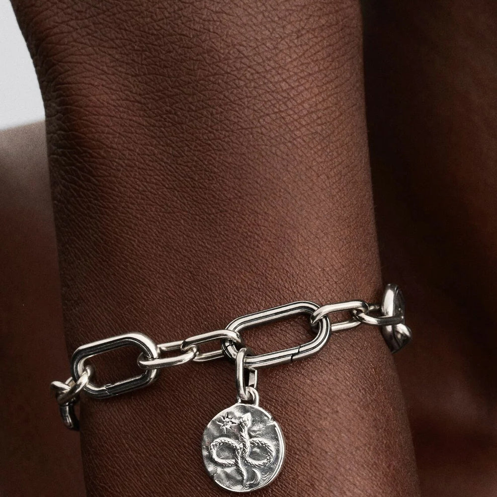 
                      
                        Pandora Infinity Snake Medallion Charm Sterling silver
                      
                    