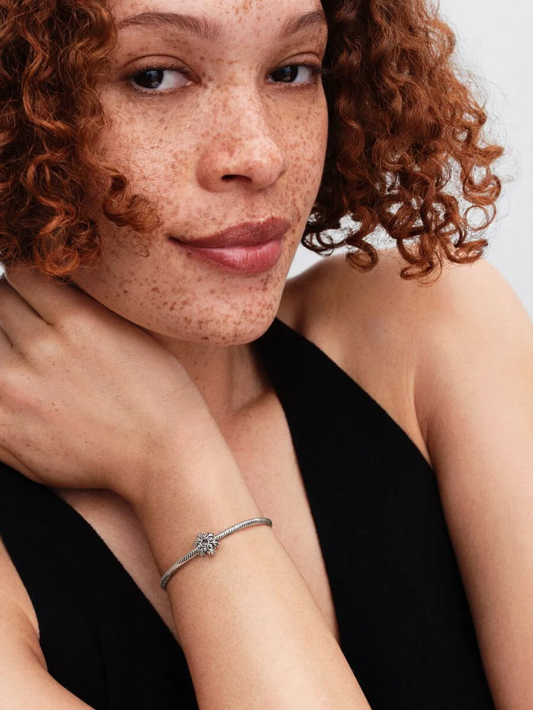 
                      
                        Pandora Snowflake Charm
                      
                    