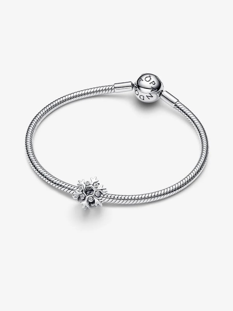 
                      
                        Pandora Snowflake Charm
                      
                    