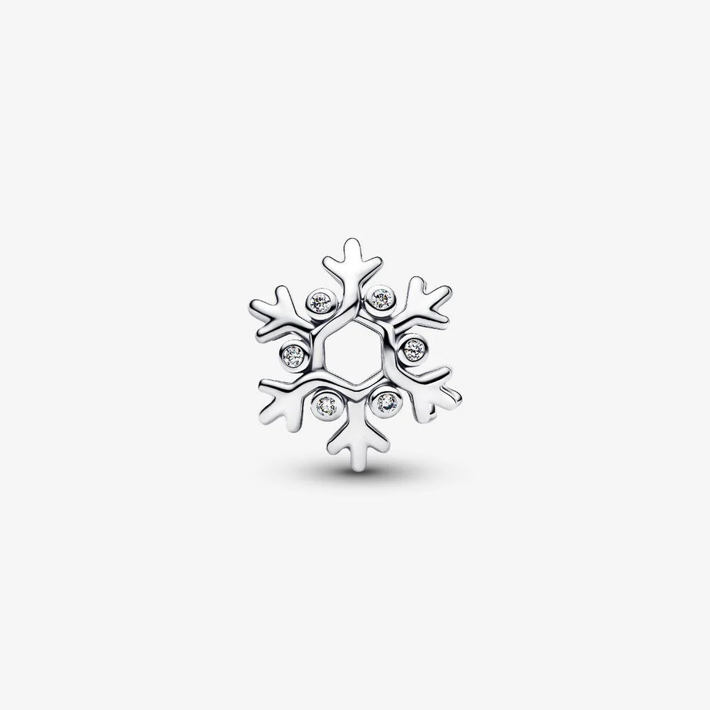 
                      
                        Pandora Snowflake Charm
                      
                    