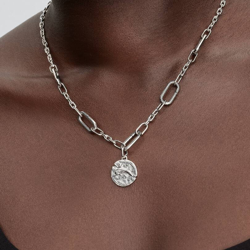 Pandora Dolphin Medallion Charm