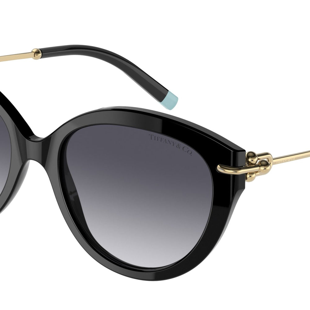 Tiffany & Co. Women's Black Sunglasses TF4187