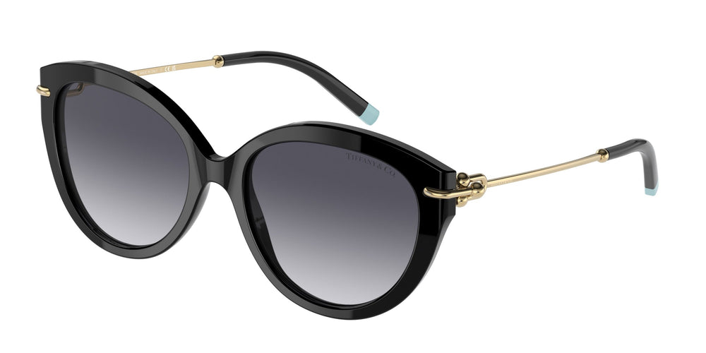 Tiffany & Co. Women's Black Sunglasses TF4187