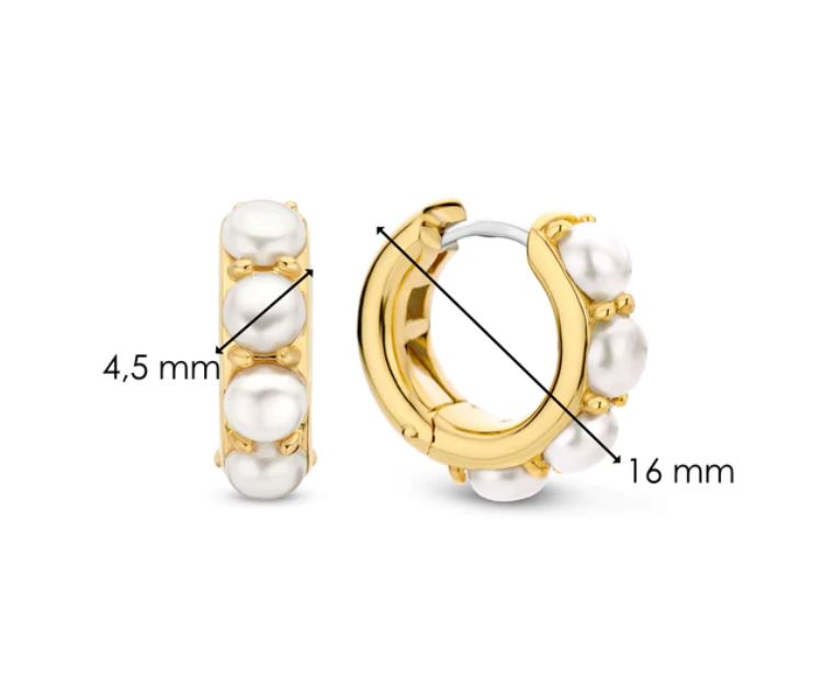 
                      
                        TI SENTO Small Hoops - 7962YP
                      
                    