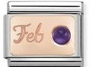 Nomination Classic Link with 'Feb' & Amethyst in Rose Gold Tone