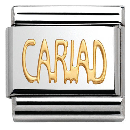 Nomination Classic Link with 'Cariad' in Yellow Gold Tone